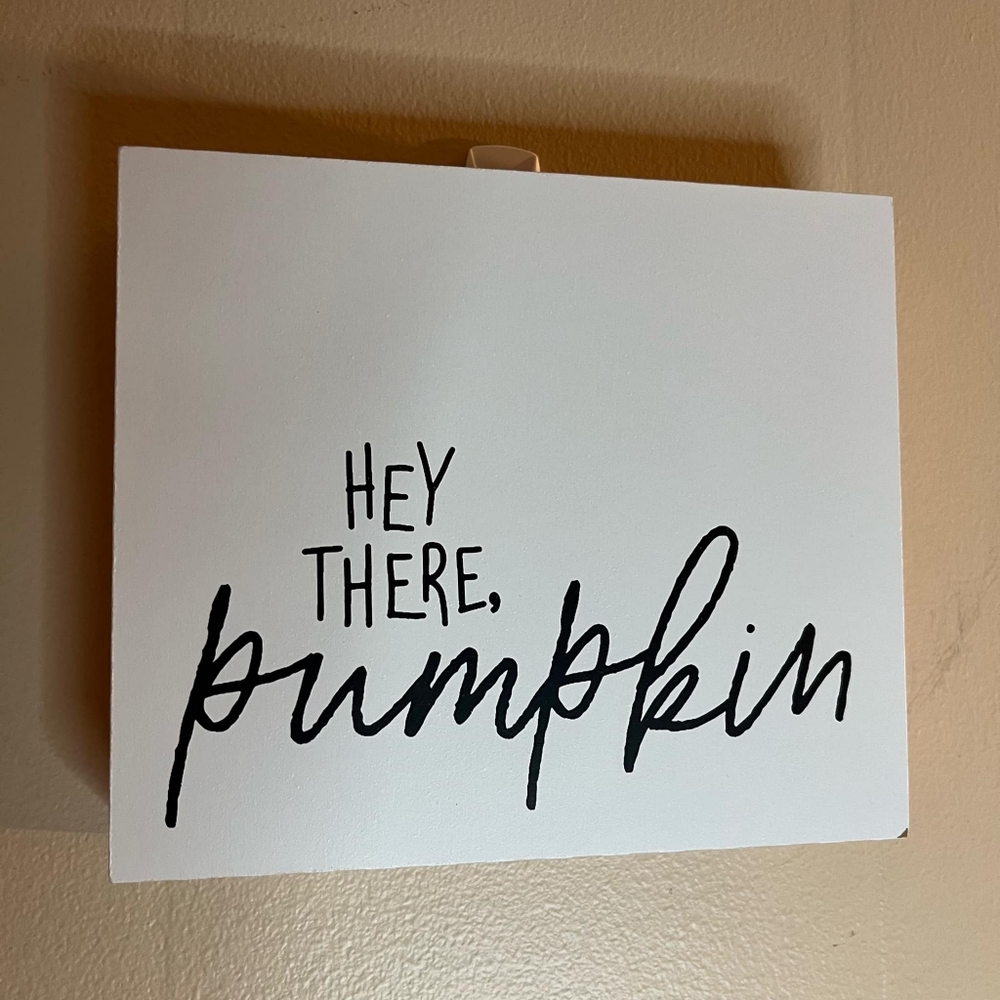 Target DISCONTINUED Hey There Pumpkin Fall Thanksgiving Canvas